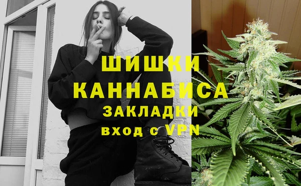 сатива Аркадак