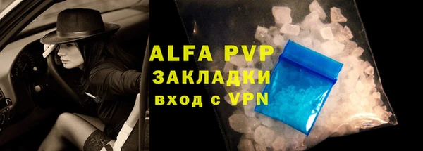 сатива Аркадак