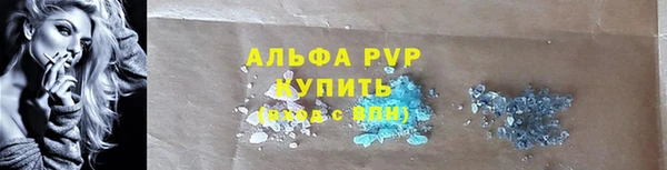 сатива Аркадак