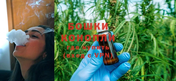 сатива Аркадак
