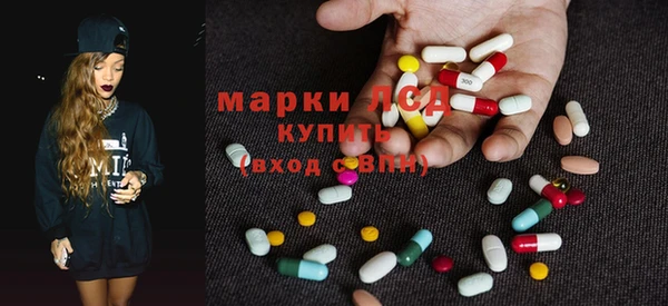 сатива Аркадак