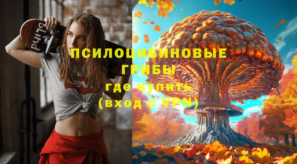 СК Навашино