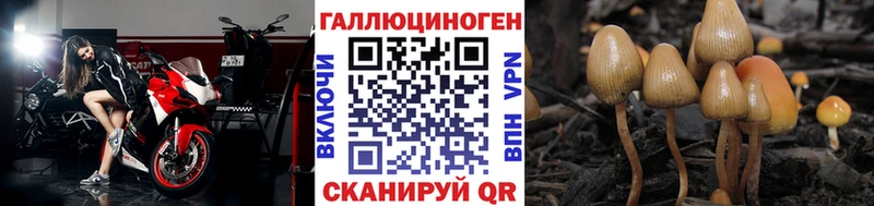 mega онион  Октябрьск  shop какой сайт  Псилоцибиновые грибы Psilocybe 